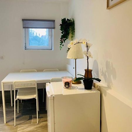 Studio House Near Paris 塞纳河畔埃皮奈 外观 照片